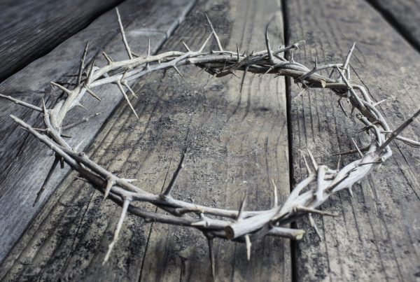 A Crown of Thorns