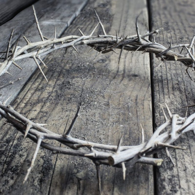 A Crown of Thorns