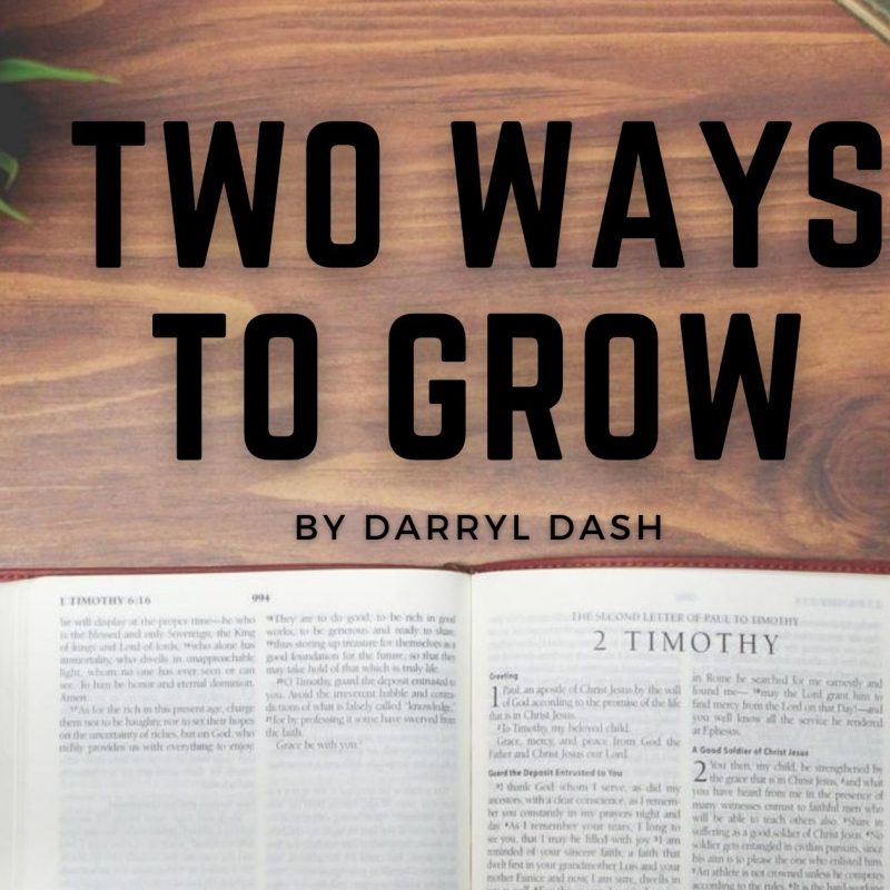 Two Ways to Grow by Darryl Dash